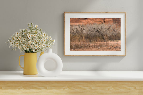 Bare trees in desert | Photo Art Print fine art photographic print