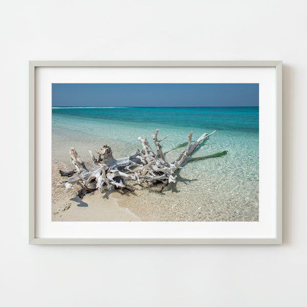 Driftwood beach Dry Tortugas