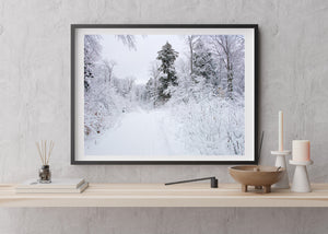 Snowy Forest and Quiet Winter Trail Landscape Print