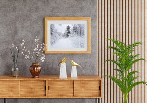 Snowy Forest and Quiet Winter Trail Landscape Print