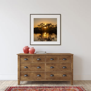 Beautiful sunset over the treeline of Caddo Lake | Photo Art Print fine art photographic print