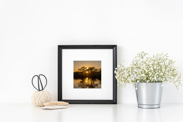 Beautiful sunset over the treeline of Caddo Lake | Photo Art Print fine art photographic print