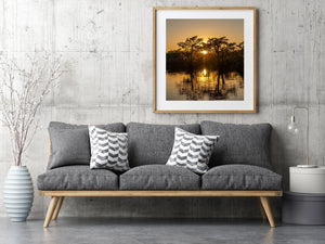 Beautiful sunset over the treeline of Caddo Lake | Photo Art Print fine art photographic print