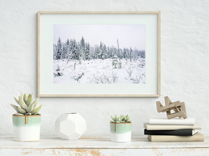 Beautiful winter landscape Haliburton Highlands | Wall Art