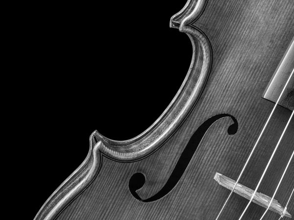 Artistic black and white photograph of violin – close-up detail