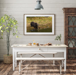 Black bear by the river in early morning fog | Wall Art