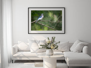 Fotografía de naturaleza