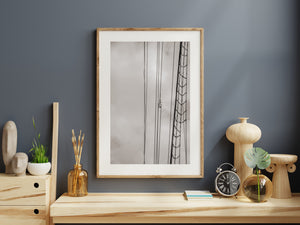 Curved rope rungs repeat beside slender schooner rigging strands.