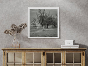 Rural Tanzanian scene with a boy walking beneath a broad central tree