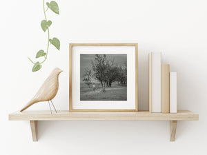 Solitary youth walking in quiet African setting