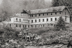 A weathered multi-storey timber building stands amid fallen beams and coastal forest.