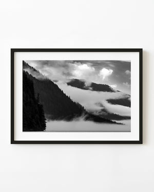 Forested British Columbia ridges and fog above water in black and white.