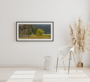Colour landscape photograph with a riverside tree below a rugged cliff face.