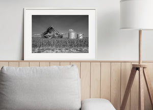 Lush cornfield and abandoned barn wall art
