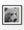 Brown bear cub chewing grass in a black and white wildlife portrait.