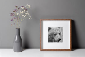 Fine fur textures and a dark muzzle in a monochrome bear cub portrait.