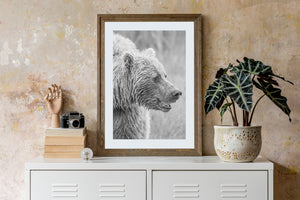 Vertical wildlife photograph of a bear’s head and shoulder in profile.