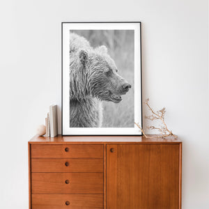 Monochrome nature portrait with a bear looking toward the open space beside it.