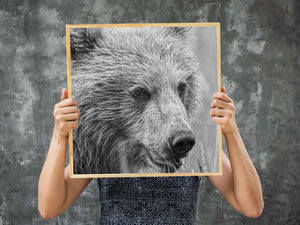 Wildlife print featuring playful bear cub in the wild