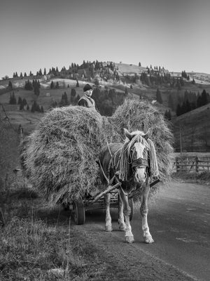 A harnessed horse stands before a heavily loaded hay wagon on a rural road.
