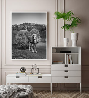 Monochrome Romanian countryside scene with hay transport and wooded hills.