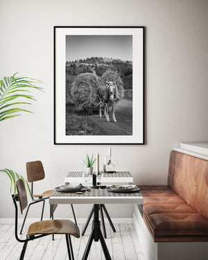 A horse and wooden cart follow a country road below tree-covered farmland.