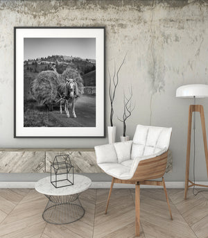 Vertical rural photograph of a hay wagon, farmer and horse in Bucovina.