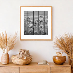 Flower heads and long leaves seen through iron bars in Buenos Aires.