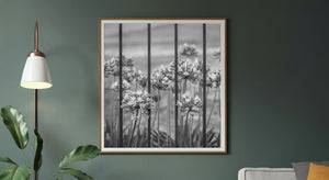 Black and white floral study with delicate petals and dark iron railings.