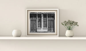Monochrome street photograph of old paneled doors and dark upper glass.