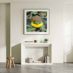 A front-facing bullfrog portrait showing bright yellow throat and raised eyes.