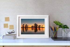 Orange and blue evening sky above dark cypress silhouettes and tranquil water.