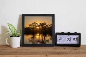 The setting sun glows between cypress trees along the edge of Caddo Lake.