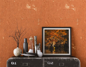 Caddo Lake Cypress Trees Glowing with Color | Photo Art Print fine art photographic print