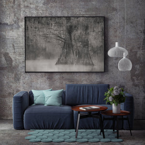 Black and white flooded forest scene with cypress roots, hanging moss and morning mist.