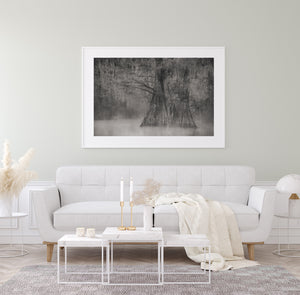 Fog drifts between Caddo Lake cypress trees in a soft monochrome nature photograph.