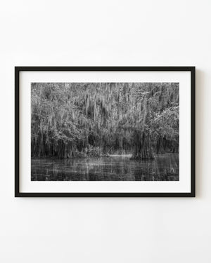 Black and white Caddo Lake photograph of cypress trees draped in Spanish moss above still water.