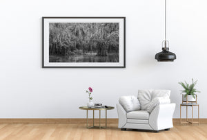 Still lake water reflects a dense stand of cypress trees beneath trailing Spanish moss.