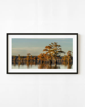 Caddo Lake cypress trees and their reflections in soft evening light beneath a pale blue sky.