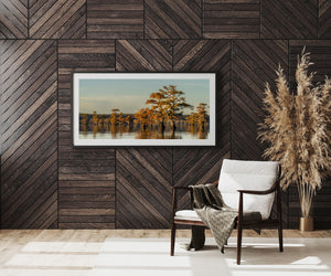 Soft blue sky and warm foliage frame a quiet Caddo Lake cypress scene.