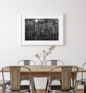 Black and white swamp landscape with layered cypress trunks and moss-covered branches.
