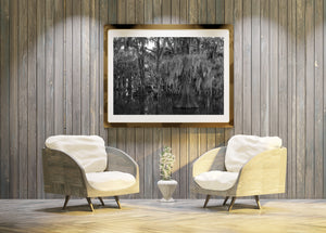 Monochrome Caddo Lake photograph of dense cypress foliage and reflected trunks.