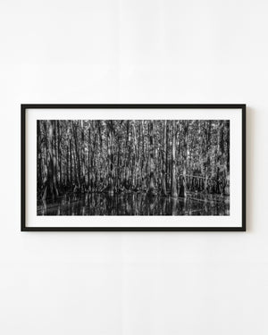 Black and white panoramic photograph of a dense Caddo Lake cypress forest reflected in swamp water.