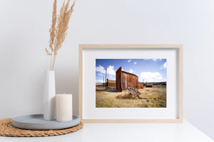 Long dry grass in barren California ghost town landscape