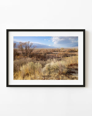 Golden California grassland stretches toward distant blue-grey mountains beneath a cloudy sky.