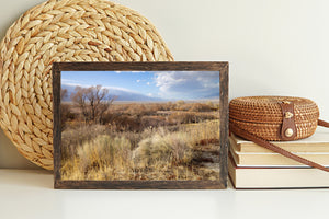 Warm golden grasses contrast with cool blue mountains and pale clouds.