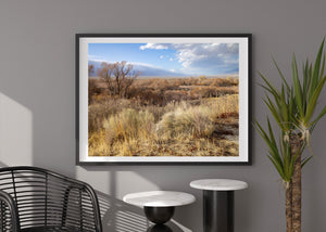 Distant mountain slopes rise beyond textured grassland in a western landscape.