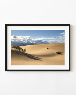 Golden California sand dunes and scattered desert plants glow in afternoon light beneath a cloudy blue sky.