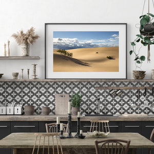Small desert plants punctuate smooth dunes in warm California afternoon light.