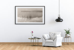 Fine reeds emerge from smooth water with a hazy forest beyond.